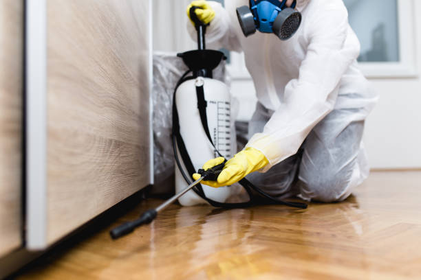Best Rat Extermination Near Me  in Millbrook, NY