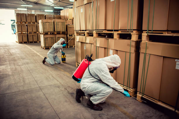 Best Mosquito Control Services  in Millbrook, NY