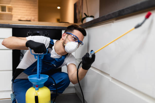 Best Flea Control Services  in Millbrook, NY