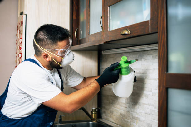 Best Best Pest Control Companies  in Millbrook, NY