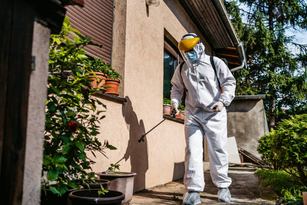 Best Local Pest Control Services  in Millbrook, NY