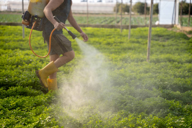 Best Affordable Exterminators  in Millbrook, NY