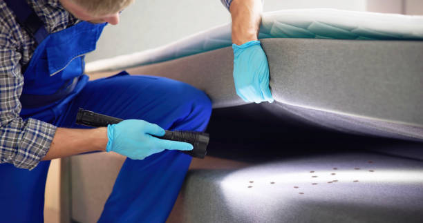 Best Residential Pest Control  in Millbrook, NY