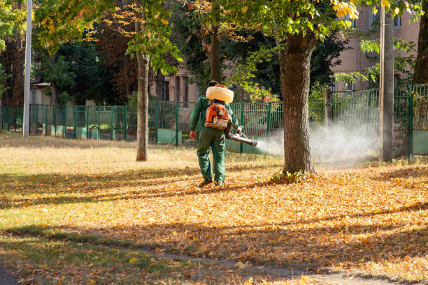Best Pest Prevention Services  in Millbrook, NY