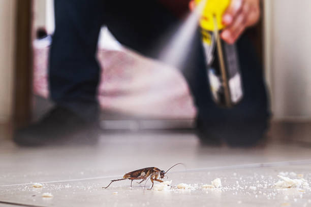 Best Pest Removal Services  in Millbrook, NY