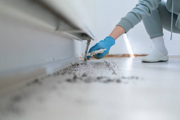 Wildlife Control Services in Millbrook, NY